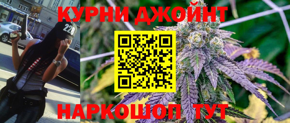 Бошки Шишки план Губкин